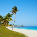 플로리다주 키웨스트의 아름다운 해변 11 이미지