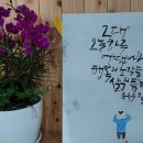 차세대가 불로초를 만들까? 이미지