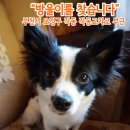까치울초등학교 이미지
