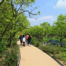 호암미술관 이미지