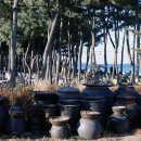 바다정원 이미지