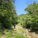 개울옆길 이미지