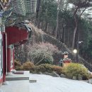 복천사 지장시왕도 이미지
