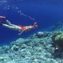 굿옵티컬안경 이미지