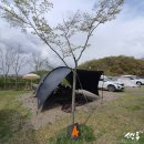 덕포진누리마을캠핑장 | 인천 근교 덕포진누리마을캠핑장 1박2일이 아쉬워 여름전에 다시 한번 가보고 싶네