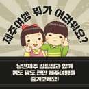 제주도 택시대절 택시투어 알찼던 당일치기 여행후기