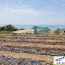 미래그린공인중개사사무소 이미지