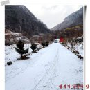 정기농장 이미지