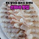 [목포맛집]목포북항회센터 맛집 활어회플라자 선희네횟집 자연산 농어회 후기