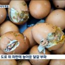 미즈노블 이미지