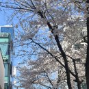 로레알헤어스튜디오 | 신촌역 미용실 '박승철헤어스투디오 신촌점' 클리닉 후기