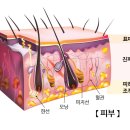 메드칼약국 | 칼슘 , 여자에게 꼭 필요한 이유?