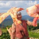 김수자농장 이미지