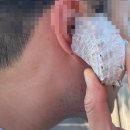 이호로 6길 이미지