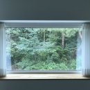 스테이 감동 이미지