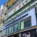 리안헤어고양