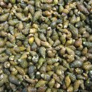 동안교 앞 이미지