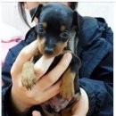 애지중지 이미지