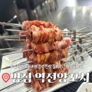 병점역 찐맛집 [역전양꼬치] 미니양갈비 지삼선 극찬 후기