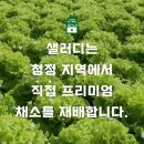 놀러와! 보검이네 샐러드가게 #당근마켓 샐러디운서역점 단골신청하고 쿠폰 다운받으세요 3천원할인 1천...
