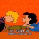 퍼피랩 이미지