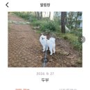 더위크앤리조트(더우프앤) 네이버블로그