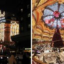 애견나라 백화점 이미지