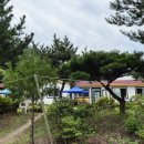 노오란펜션 이미지