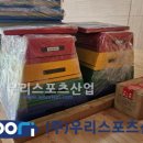 양지초등학교 이미지