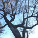 과천대로1길 이미지