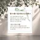 웨딩일기 Ep.44 - 가을 스튜디오 셀렉 후기 및 웨딩촬영 추가금 방어 성공 팁 (장점,단점)