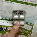 증산약국 | ❤️p10.임신 준비-시험관 1차 진행_과배란주사~난자채취(수원 아이오라)