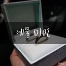 W-206 :: 대구예물반지 D102 문보우 후기