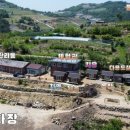단수농장 네이버블로그