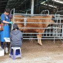 밀양축산업협동조합 이미지