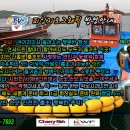 와따 좌대낚시터 Daum카페