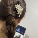나비헤어 | 한복헤어장식 추천, 꽃나비 진주 U자형 비녀 후기