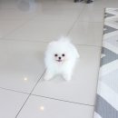 문정미용타운 이미지