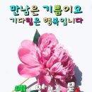 새해마음 / 이해인 이미지