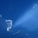 비전(Vision- 이미지