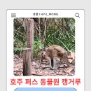6151 | 호주 캥거루, 쿼카 만나러 간 퍼스 동물원(Perth Zoo) 방문 후기