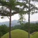 옥전 고분군: 경남 합천군 쌍책면 성산리 이미지