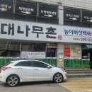 대나무촌 이미지