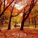 신월근린공원 이미지