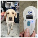 석근2길 이미지