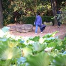 마중 가던 길 이미지