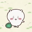 로니뷰티