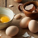 제주웰빙영농조합법인 이미지