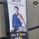 바이올리니스트 대니 구의 로맨틱 바이올린 이미지