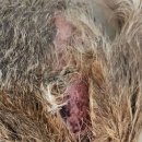 강릉대관령(강릉)휴게소 이미지